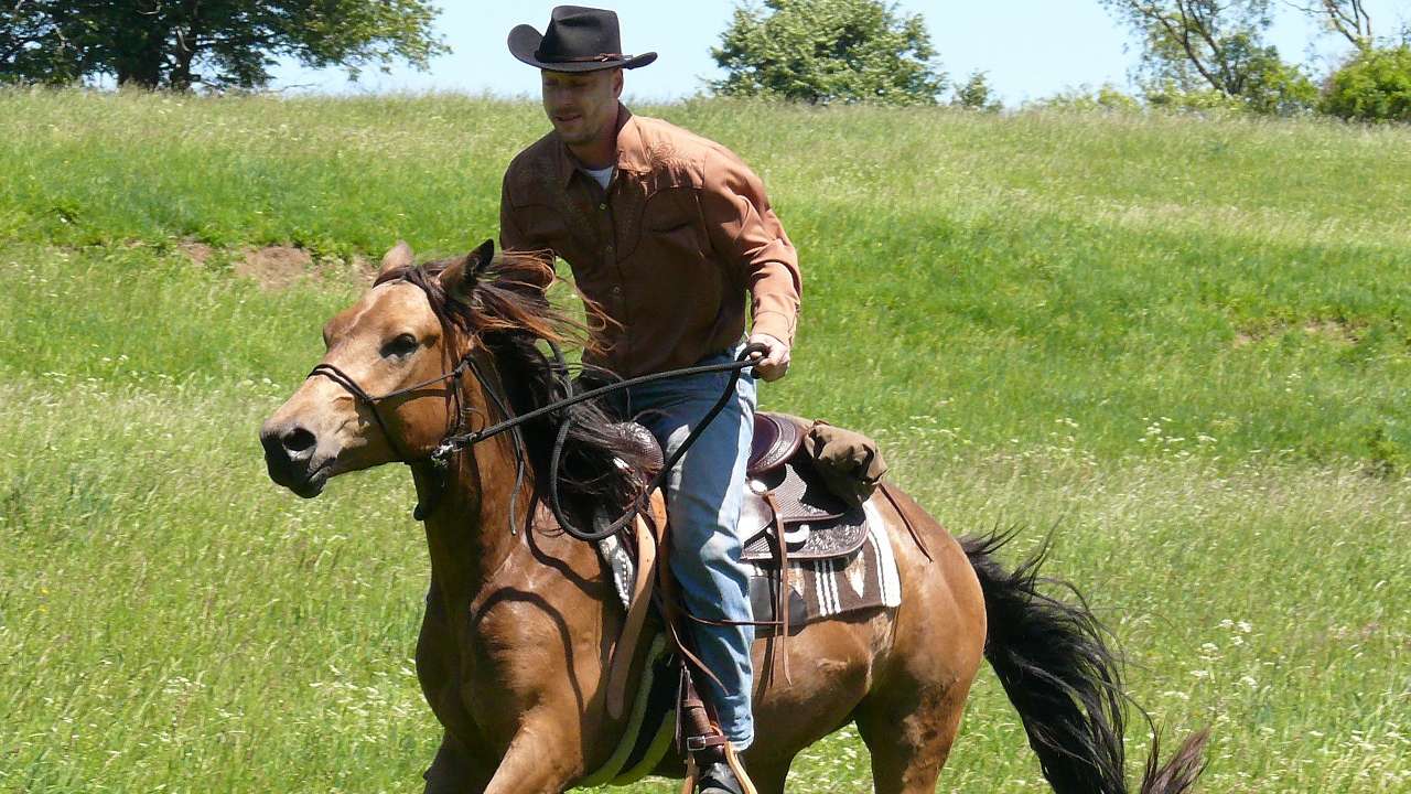 Žene su poludele za ovim kalendarom zbog zgodnih farmera, a njihov gest ih je posebno oduševio (FOTO) 1 k6w8ooik 169