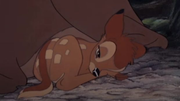 bAMBI
