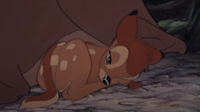 bAMBI