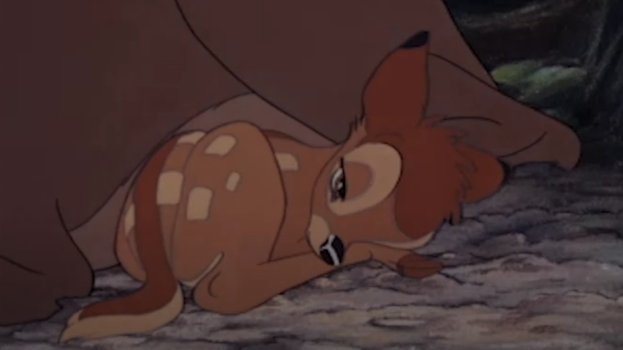 bAMBI