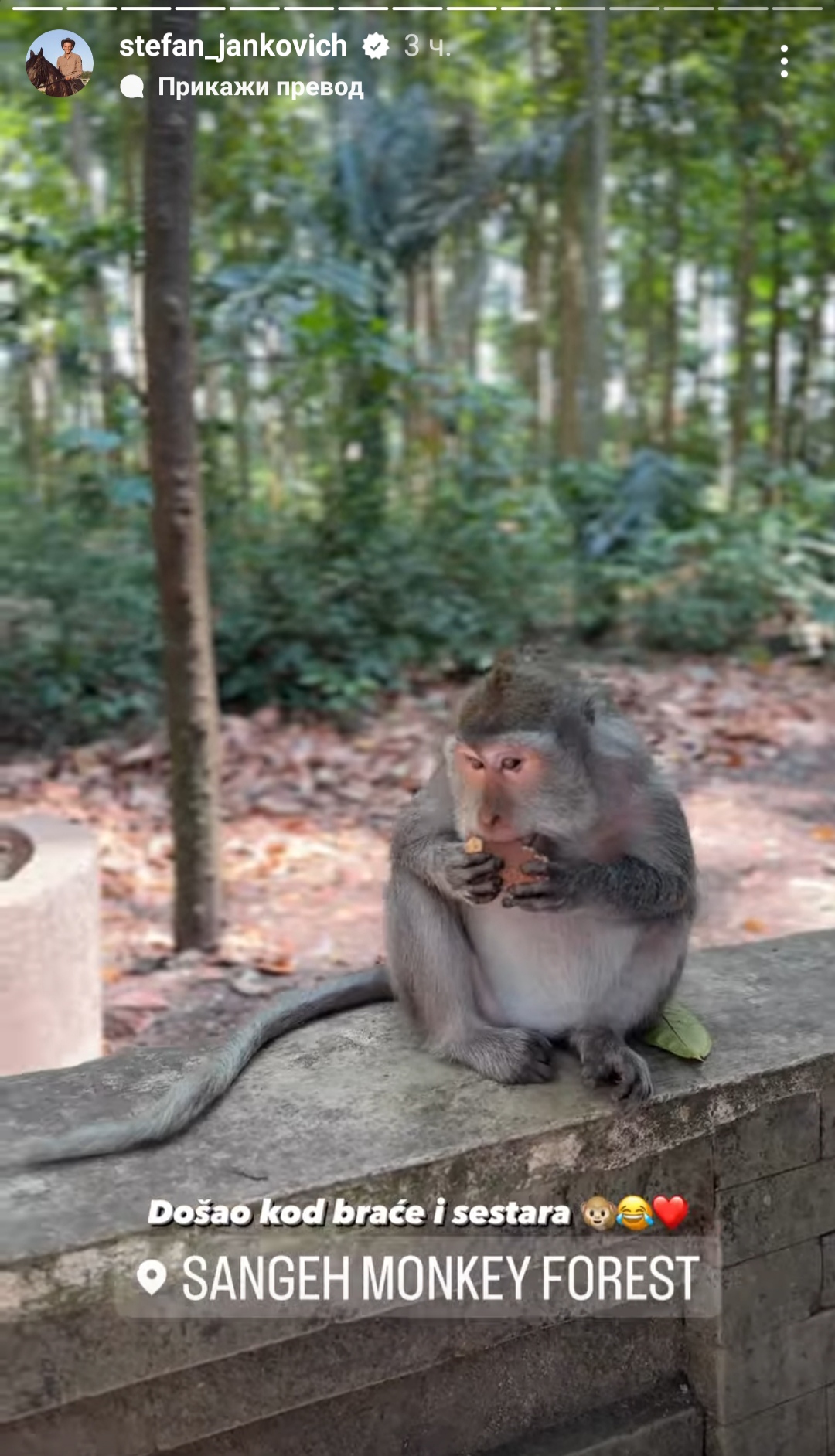 STIGLI NA BALI: Ana Lazarević, Stefan Janković i Uki Q podelili slike sa zajedničkog putovanja, evo kako se provode! (FOTO) 7 Stefan Janković, Bali