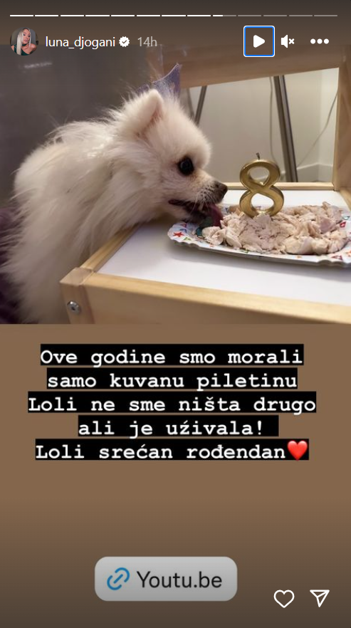 "HVALA TI ŠTO SI ME VERNO ČEKALA": Luna Đogani obeležila poseban datum, iznenađenju se priključila i malena Mia (FOTO) 2 luna đogani