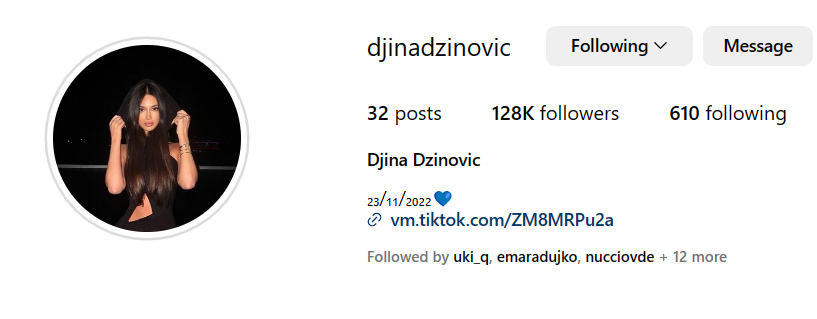 đina džinović