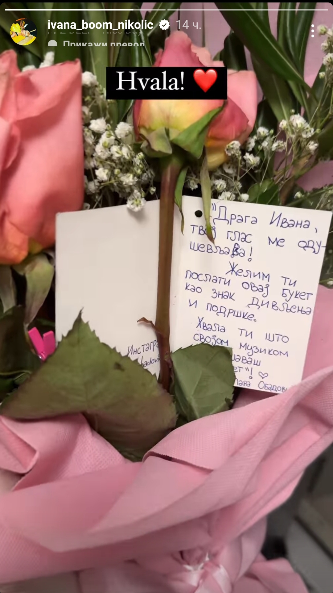 IVANA BOOM NIKOLIĆ SE POHVALILA NEOČEKIVANIM POKLONOM: Poruka koju je pronašla unutra oduševila je sve! (FOTO) 2 1705314225071