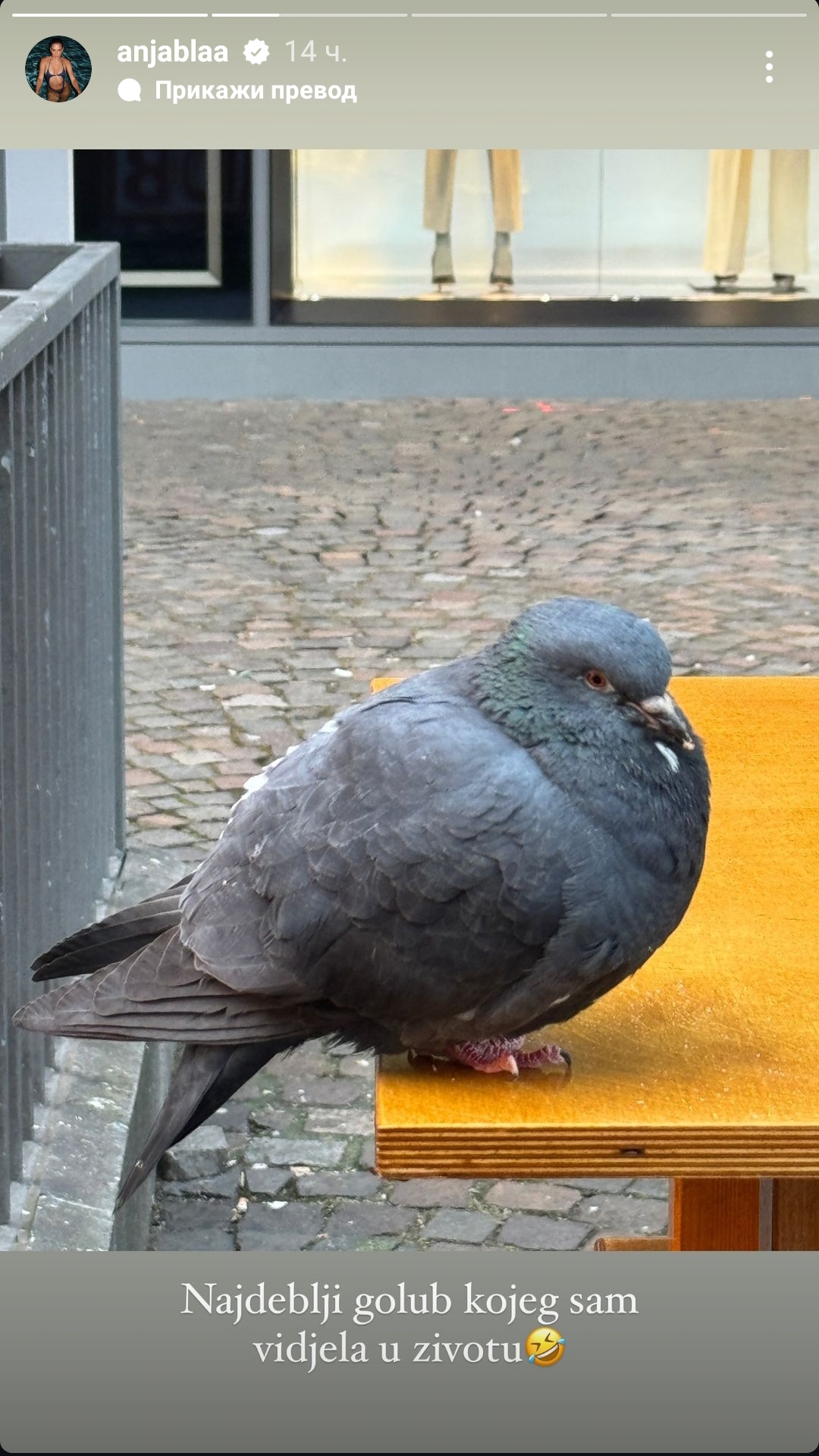 1706607268282