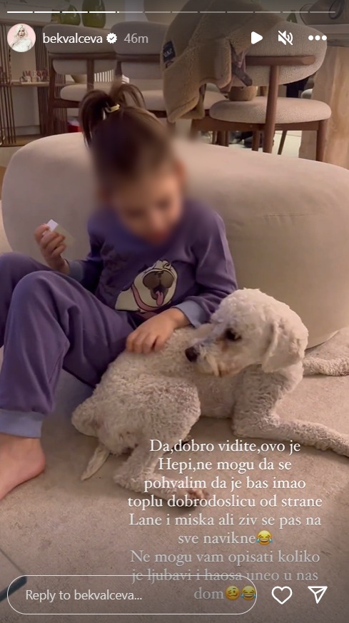 NOVI ČLAN PORODICE: Nataša Bekvalac podelila potresnu priču, pa otkrila koga je primila u svoj dom (FOTO) 4 blur photo.com 1705417507