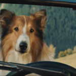 Nova uzbudljiva priča o najvoljenijem psu na svetu: Film "Lesi - Nove avanture" stiže u domaće bioskope 6 leso