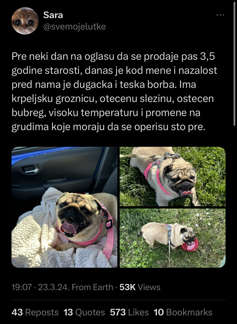 ''Pred nama je dugačka i teška borba'': Sara Stanković humanim gestom oduševila pratioce, o njenom postupku bruje mreže 2 image0 5