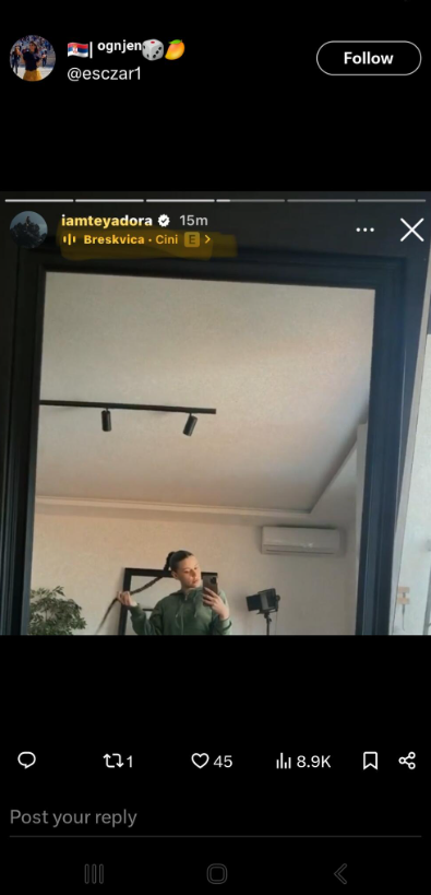 Jednim potezom otkrila sve: Teya Dora objavom jasno pokazala šta misli o Breskvici i njenom radu (FOTO) 2 Screenshot 2024 04 15 090221
