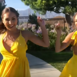 Netflixov dokumentarac o Tiktok kultu uznemirio gledaoce: Iza viralnih koreografija sa popularne platforme krije se JEZIVA istinita priča 5 Screenshot 2024 06 04 124118