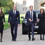 Princ Hari se vraća u Englesku! Njegov dolazak se poklapa sa godišnjicom smrti kraljice Elizabete - ali to nije razlog njegove posete 4 profimedia 0721652007