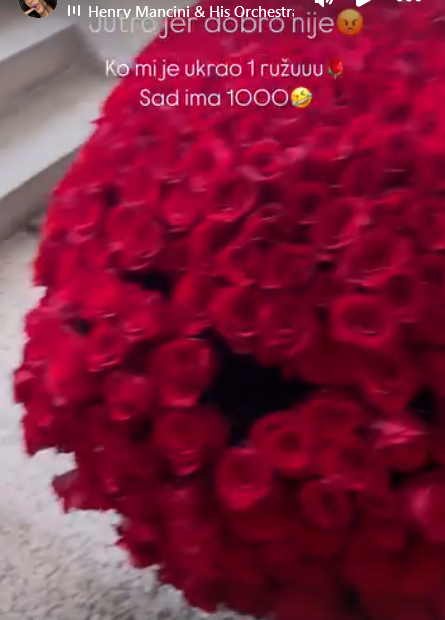 Screenshot 2024 11 14 114932