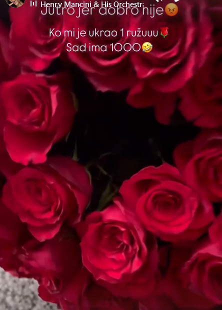 Screenshot 2024 11 14 115008