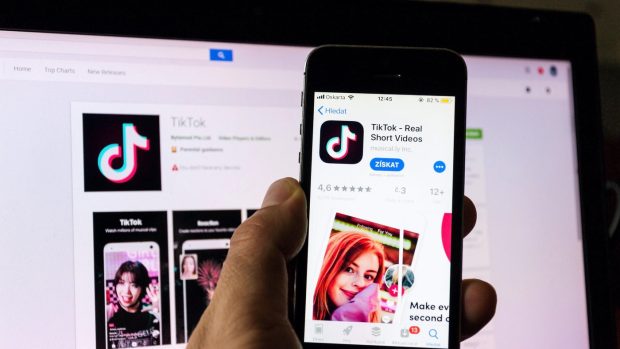 tiktok video watermark snaptik